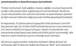 DMM: Bandırma Limanı'nda kaçak hayvanların ülkeye sokulduğu iddiaları asılsız