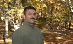 Dünyadaki tek kasnak meşesi ormanına izinsiz girmenin cezası 557 bin TL