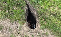 Eğirdir'de meyve bahçelerinde obruk ve yarıklar, evlerin duvarlarında çatlaklar oluştu