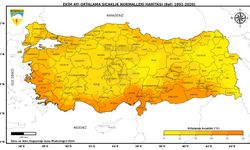 Ekimde en yüksek sıcaklık Cizre'de tespit edildi