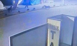 Emekli astsubay, sokak köpeğini tabancayla vurdu; o anlar güvenlik kamerasında
