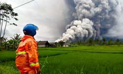 Endonezya'nın Semeru Yanardağı'nda mahsur kalan 178 dağcı kurtarıldı