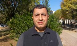 Güneydoğu'da ‘beyaz öncü kelebek' zamanı