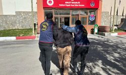 Hakkari'de firari hükümlü jandarma operasyonu ile yakalandı