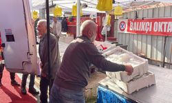 Hamsinin fiyatı gelen balık miktarına göre değişiyor