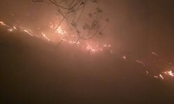 Hatay'da yıldırım düşmesi sonucu çıkan orman yangını, 12 saatte kontrol altına alındı