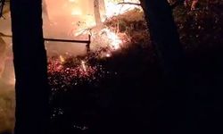 Hatay'da yıldırım düşmesi sonucu orman yangını çıktı (2)