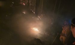 Hatay'da yıldırım düşmesi sonucu orman yangını çıktı