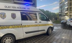 Hava almak isterken 8'inci kat penceresinden düşüp öldü