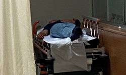 İnegöl'de 7 kişi, ormandan topladıkları mantarlardan zehirlendi