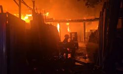 İş yeri yangınında mahsur kalan güvercinler kurtarıldı