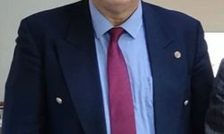 -İstanbul - Bakırköy'de sokakta kedi besleyen iş insanını, yolu kapattığını öne sürerek darbetti