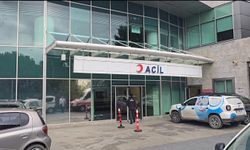 İstanbul-Beykoz'da trafik kazası geçiren oyuncu Özgü Namal taburcu oldu