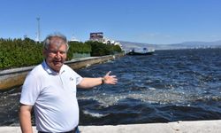 İzmir Körfezi'nde kötü koku sürüyor; denizin rengi kahverengiye döndü