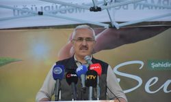 İzmir'de 115 bin adet fidan toprakla buluşturuldu