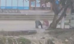 İzmir'de sağanak etkili oldu