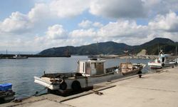 Japonya'da yangın: 170'ten fazla bina hasar gördü, 1 kişi kayıp