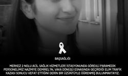 Kamyonetin yaya geçidinde çarptığı sağlık personeli kurtarılamadı