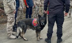 Kastamonu'da kayıp anne ve oğlunu arama çalışmaları 4'üncü günde