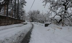 Kayseri'de kar yağışı