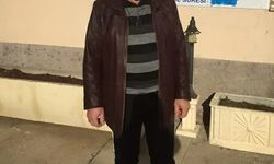 Kestane toplarken ağaçtan düşüp, öldü