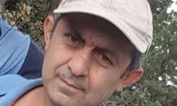 Kestiği ağacın altında kalan köylü öldü