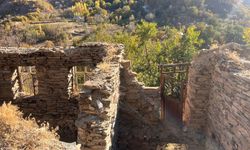 Köylerine dönüp üretime başladılar