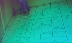 Mardin'de bisiklet hırsızlığı kamerada