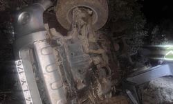 Mardin'de kamyonet şarampole devrildi: 6 yaralı