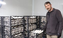 Metropol hayatını bıraktı, memleketinde mantar üretim çiftliği kurdu