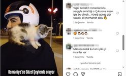 Motosiklet sürücüsü yolda bulduğu yavru kediyi sahiplenip omzunda eve götürdü
