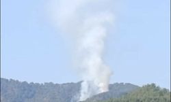 Muğla Seydikemer'de orman yangını