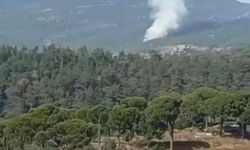 Muğla'da 1 hektar orman yandı /Video eklendi