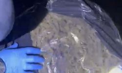 Muğla'da uyuşturucu operasyonunda 4 tutuklama