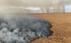 Nehil Sazlığı'ndaki yangın söndürüldü