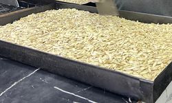 Nevşehir'in coğrafi işaretli kabak çekirdeğine yabancılardan da yoğun ilgi