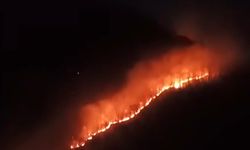 Ordu'da örtü yangını, ormana sıçradı