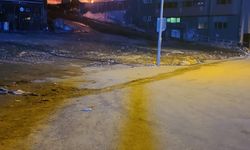 Oteldeki yangında ölen eski milli kayakçının ailesinden 10 milyon dolarlık masraf, ‘tazminat' olarak istendi