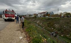 Otomobil, dereye uçtu: 2 yaralı