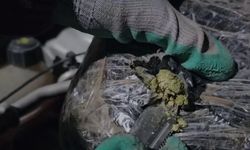 Otomobilin kaputunun altında 3 kilo skunk ele geçirildi