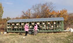 Pembe maskeli arıcı kadınlar, bal hasadında 'meme kanserine' dikkat çekti