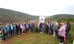 Sancaktepe'de fidanlar toprakla buluşturuldu