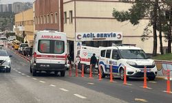 Şanlıurfa'da pamuk biçme makinesine kapılan Serhat, hayatını kaybetti