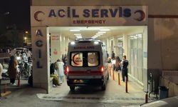 Şanlıurfa'da zincirleme kaza: 2 ölü, 2 yaralı (2)