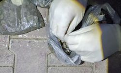 Satmaya çalıştıkları 4 bin 897 sikkeyle yakalanan 2 şüpheli yakalandı