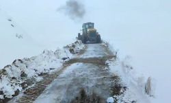 Siirt'te kar nedeniyle yolda mahsur kalan araçlar kurtarıldı