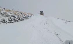 Şırnak'ta kardan kapanan 6 köy yolu ulaşıma açıldı