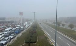 Sivas'ta yoğun sis