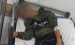 Sucuklu tost yiyen anne ile oğlu hastanelik oldu