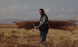 Sultan Sazlığı'ndan Avrupa'ya kamış ihracatı/Ek fotoğraflar